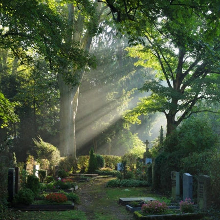 Wir gedenken der Toten an den stillen Feiertagen wie Allerheiligen, Totensonntag und Volkstrauertag © line-of-sight / Fotolia